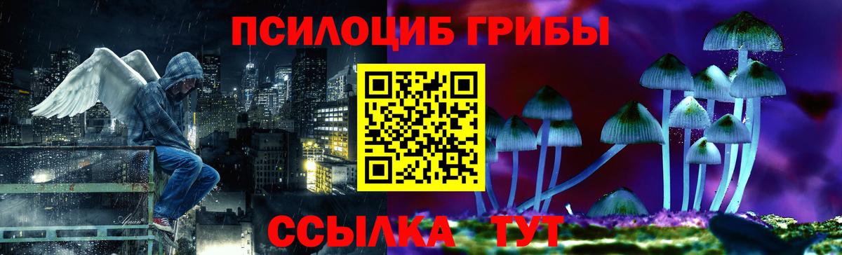 Псилоцибиновые грибы прущие грибы Туймазы
